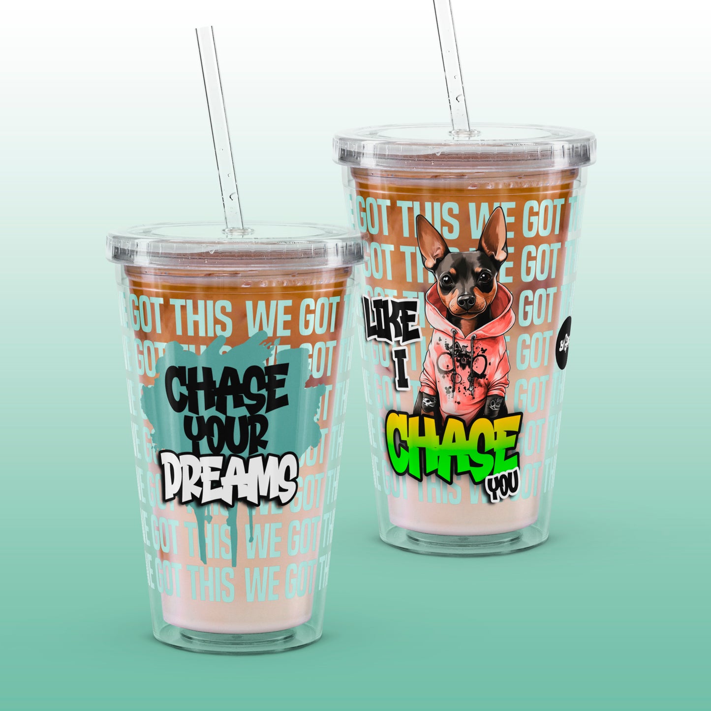 Chase your dreams – Clear Tumbler (16 oz)