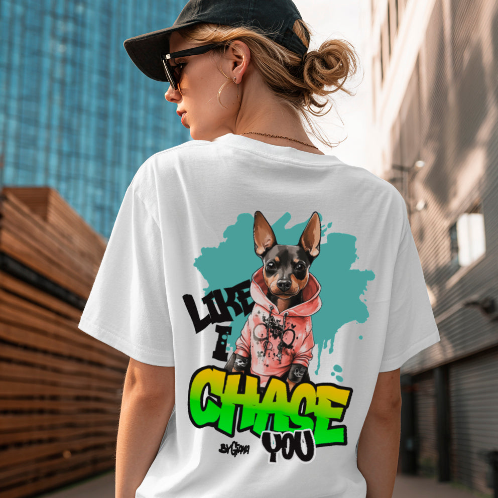Chase your Dreams - Unisex t-shirt