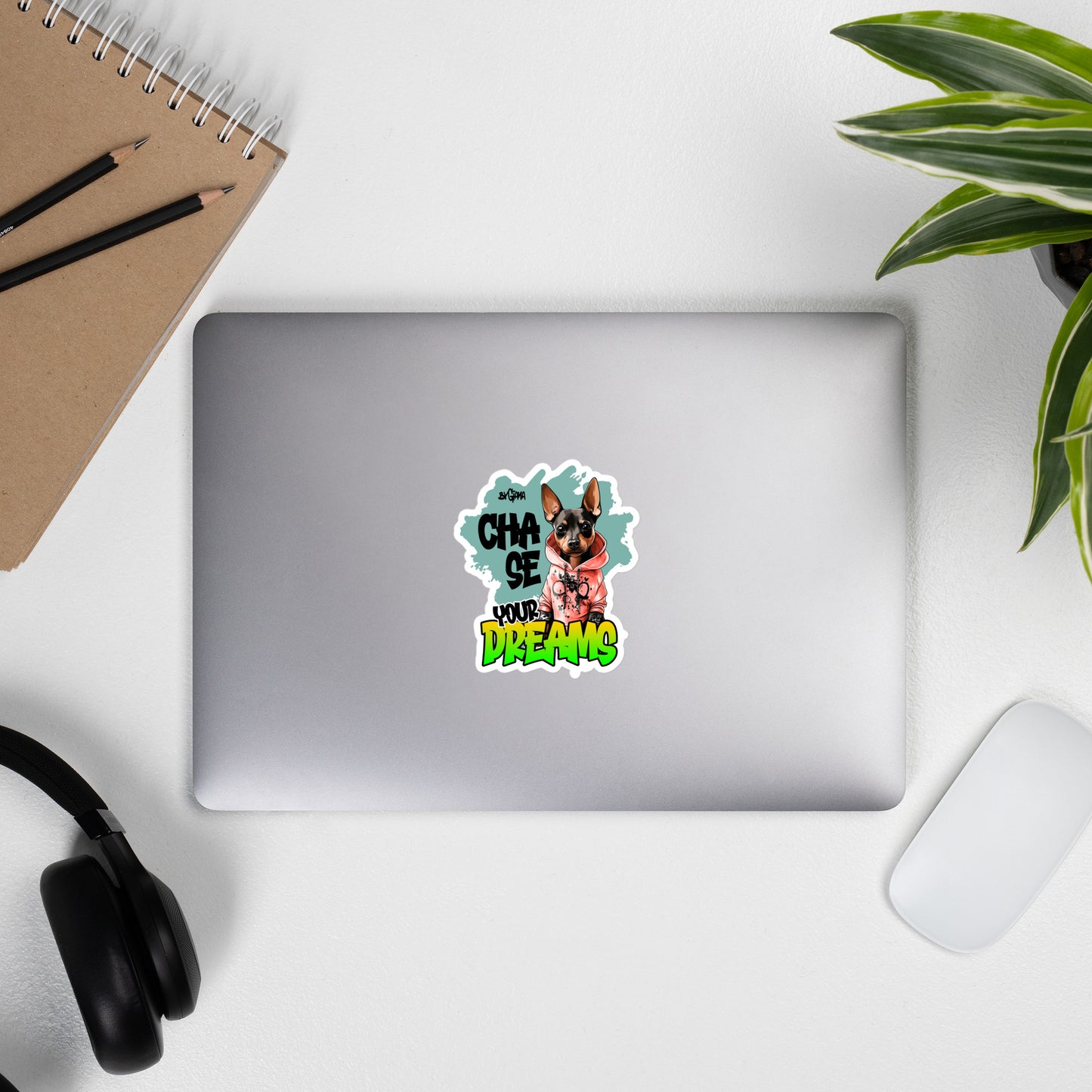 Chase your dreams - Vinyl Sticker