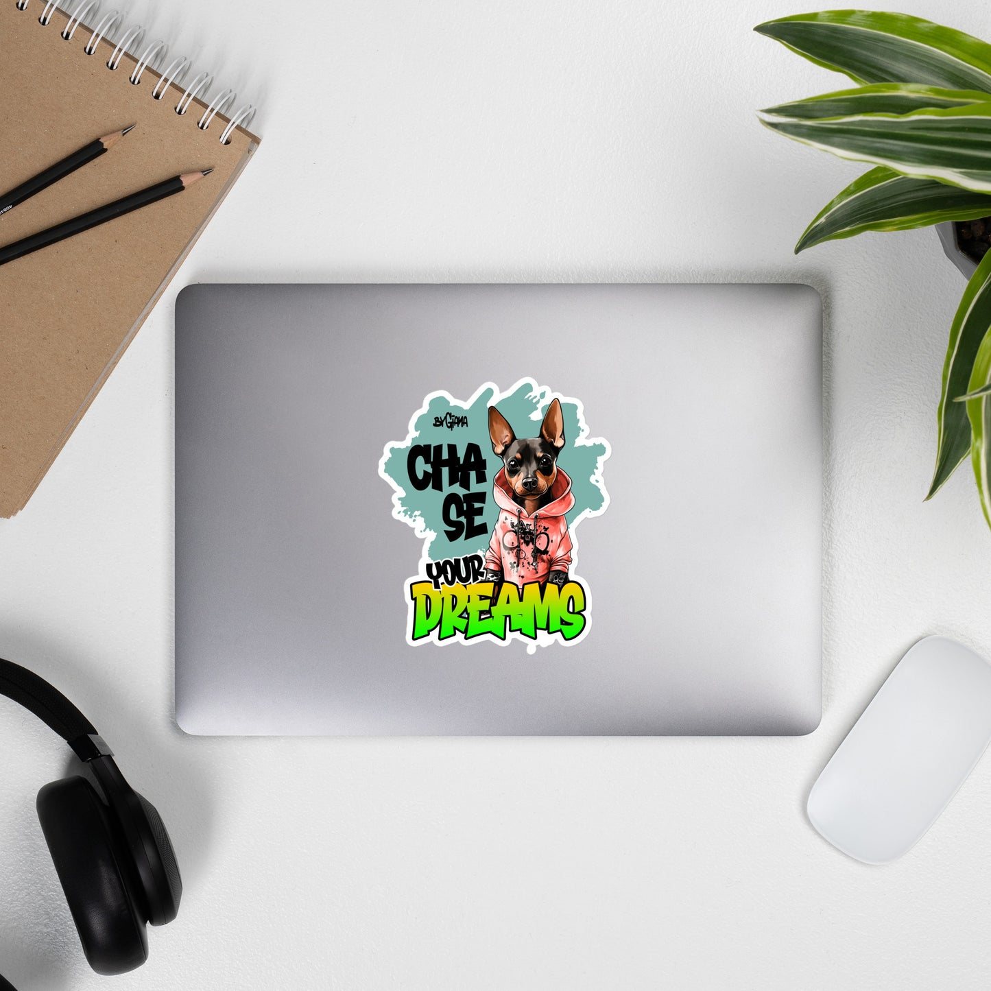 Chase your dreams - Vinyl Sticker